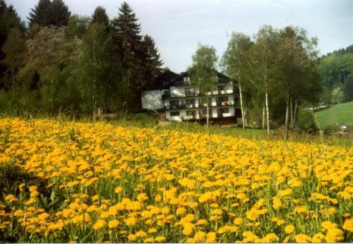 Birkenhof Hotel Wald-Michelbach Exterior foto