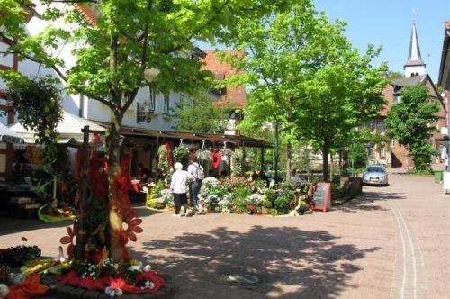 Birkenhof Hotel Wald-Michelbach Exterior foto