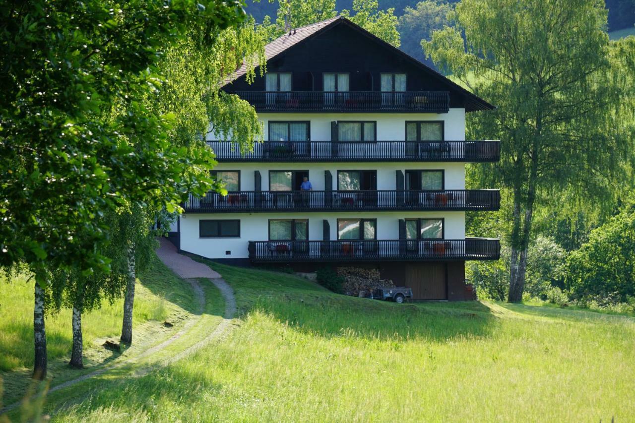 Birkenhof Hotel Wald-Michelbach Exterior foto