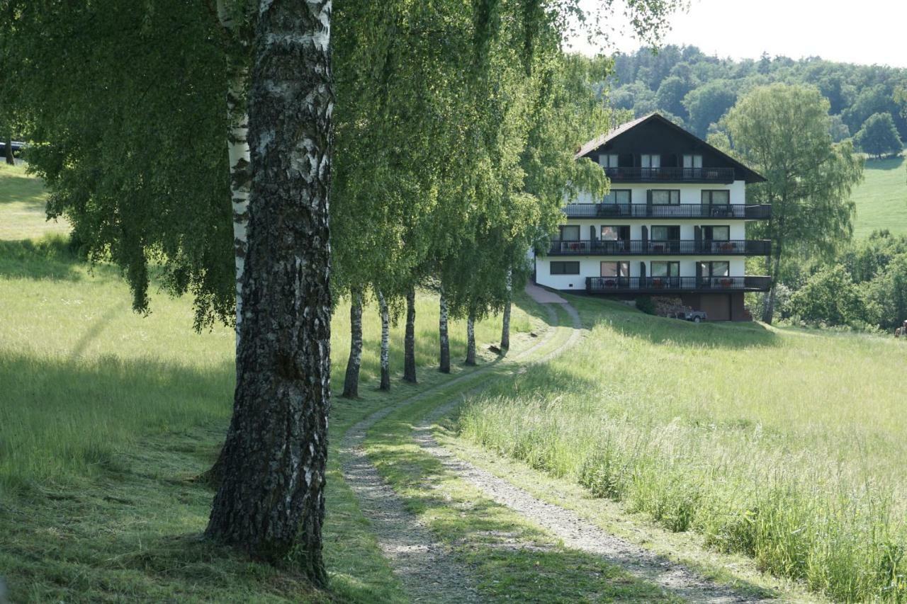 Birkenhof Hotel Wald-Michelbach Exterior foto